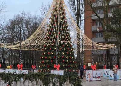Рождественский тур в Калининград