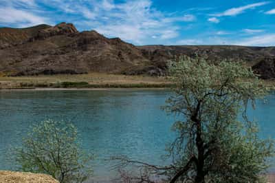 Замечательный купальный тур в теплое водохранилище Капшагай