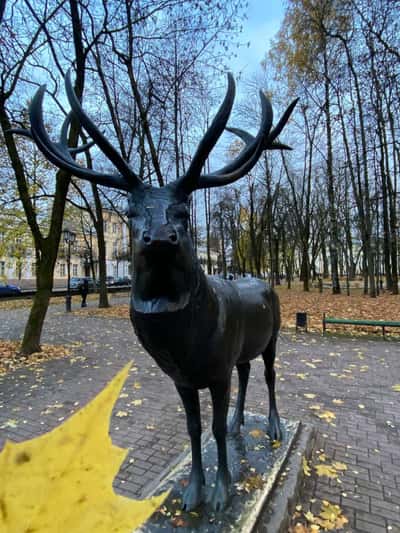 «Первое знакомство» - обзорная экскурсия с местным жителем