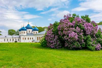 Южные окрестности Великого Новгорода