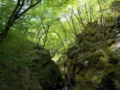 Провинциальная Кубань