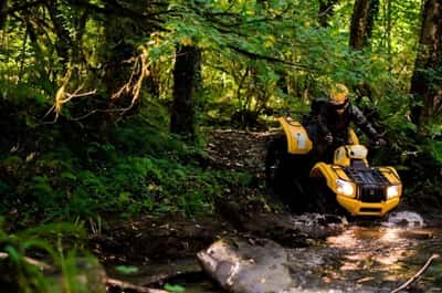 Квадроциклы с лучшими видами: хребет Аигба и водопад Поликаря