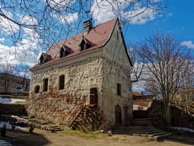 Групповая школьная экскурсия в Выборг (1 день)