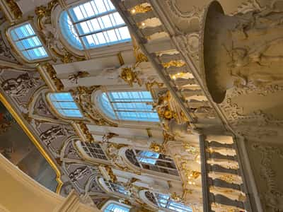 Эрмитаж. Только крысы и мы