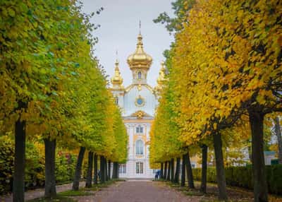 Там блещут золотом фонтаны. Тур в Санкт-Петербург на 3 дня