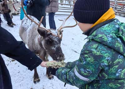 В поисках северного сияния. Кольский полуостров