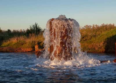 Жемчужины Новгородского края. Лето