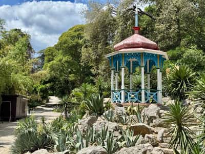 Южный берег Крыма