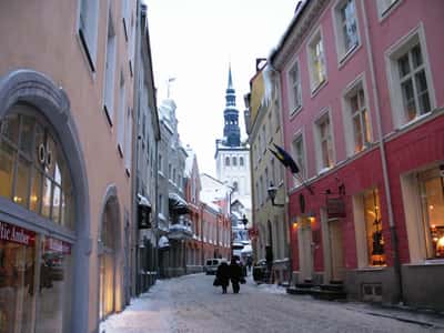 Сказочная экскурсия в Таллине для детей