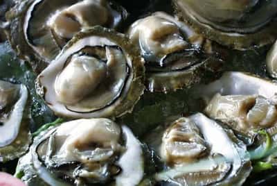 Экскурсия из Дубровника на устричные плантации в город Стон - для гурманов