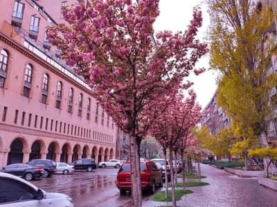 В объективе - Ереван