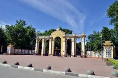 Мечта вне закона