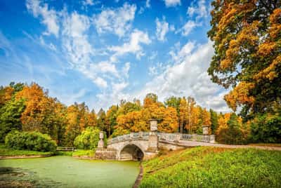 Автобусная экскурсия в Павловск. Дворец и парк