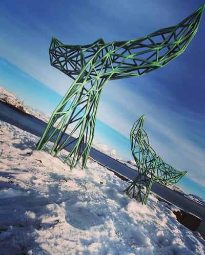 Впечатляющая Териберка