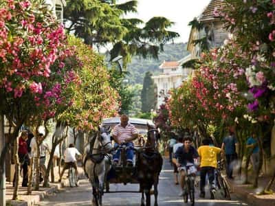 Жемчужины Мраморного моря: путешествие на Принцевы острова