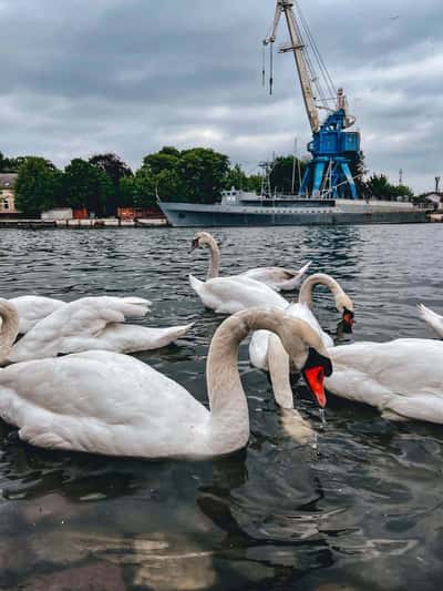 Балтийск и неизведанная Балтийская коса