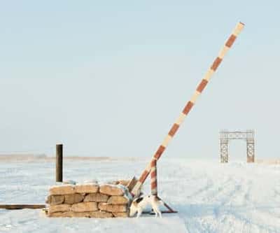 Экскурсия «Дорога жизни»