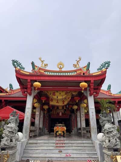 Программа с душой на Пхукете: философия буддизма и животные Таиланда