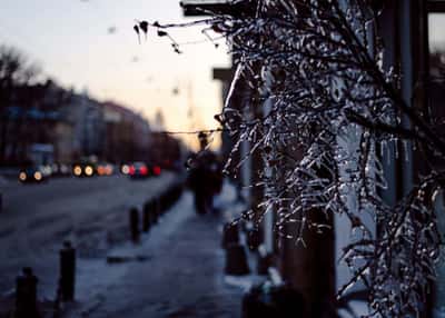 Зимний Петербург. 7 праздничных дней