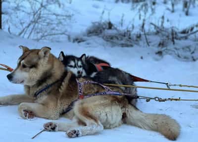 Карельский weekend. Новогоднее путешествие