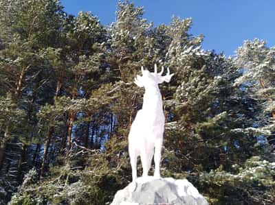 Новый год в Беловежской пуще