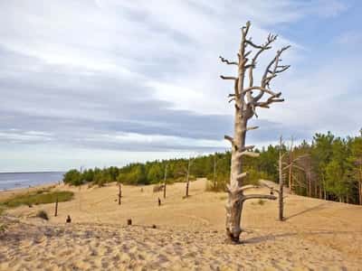 Автобусная экскурсия в город у Белого моря - Северодвинск