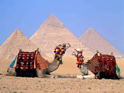 «Погружение в историю»: поездка в Каир в мини-группе