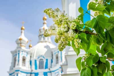 Подцерковье Смольного собора