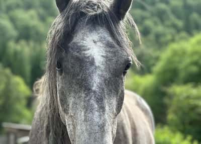 Конный тур к Шавлинским озерам со сплавом
