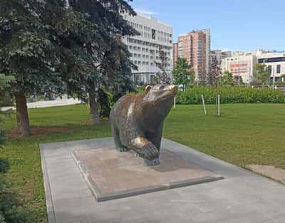 Добро пожаловать в Пермь! Обзорная авто-пешеходная экскурсия