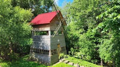 Нарочанский круиз: яхты, скалодром, мельница