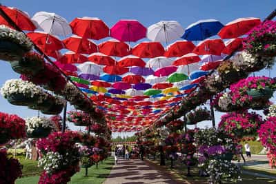 Парк цветов Miracle Garden и ярмарка Global Village