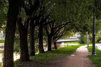 Неизвестный остров мельника Матиса