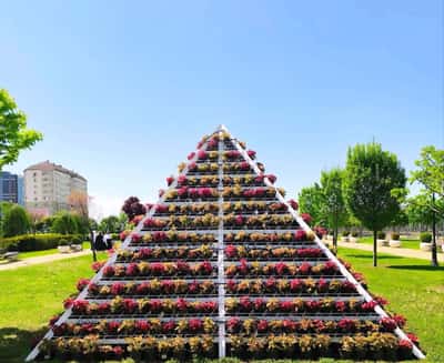 Грозный, город Феникс