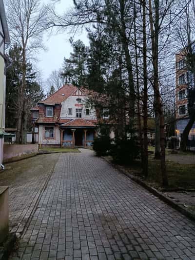Шелестящий Раушен - город Светлогорск