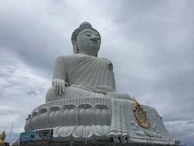 Весь Пхукет за 1 день: обезьяны, слоны, тигры и крокодилы