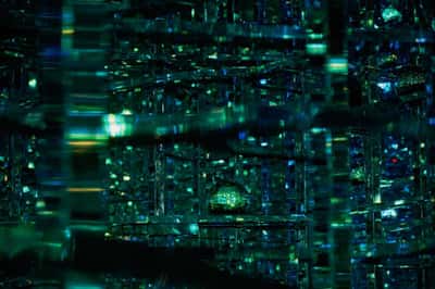 Билет в teamLab Phenomena - мир искусства и технологий (на английском)