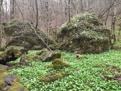 Лаго-Наки: царство гротов и водопадов «Медвежьей долины»