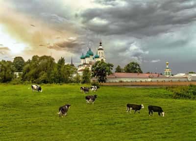 Путешествие в Толгский монастырь