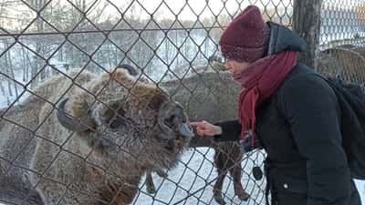 «Зимняя сказка»: Новогодние каникулы на Алтае