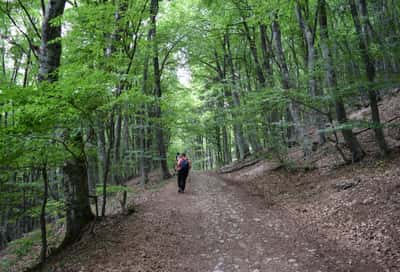 Самые красивые панорамные виды Крыма с вершин Чатыр-Даг