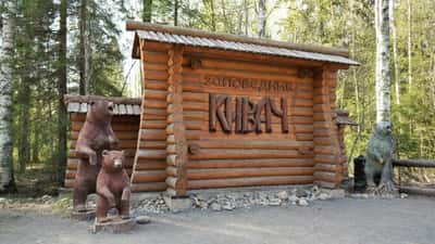 Увидеть всё: Золотое кольцо Карелии за один день