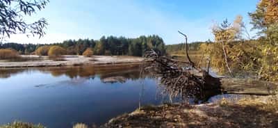 Эко-прогулка по тропам Керженского заповедника