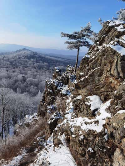 Знакомство с природой Хабаровского края плюс «Заимка Плюснина»