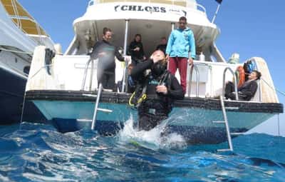 Курс по дайвингу - начальный уровень PADI Open Water