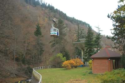 Минеральная сказка: Боржоми