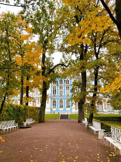 Царскосельский Лицей и Екатерининский дворец: на машине из Петербурга
