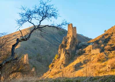 Зимнее великолепие гор Кавказа, кавказская кухня и тёплая компания