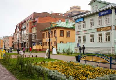 Пешеходная Премиум