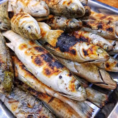 Морская Рыбалка в Белеке
